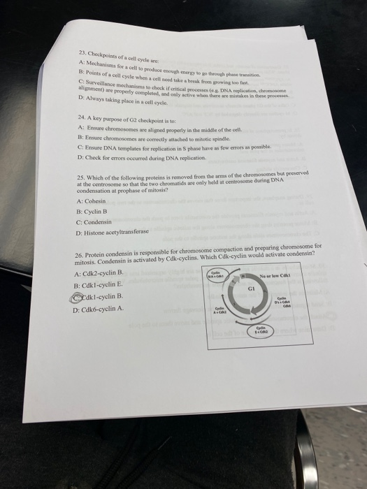 Solved 23. Checkpoints of a cell cycle : A: Mechanisms for a | Chegg.com