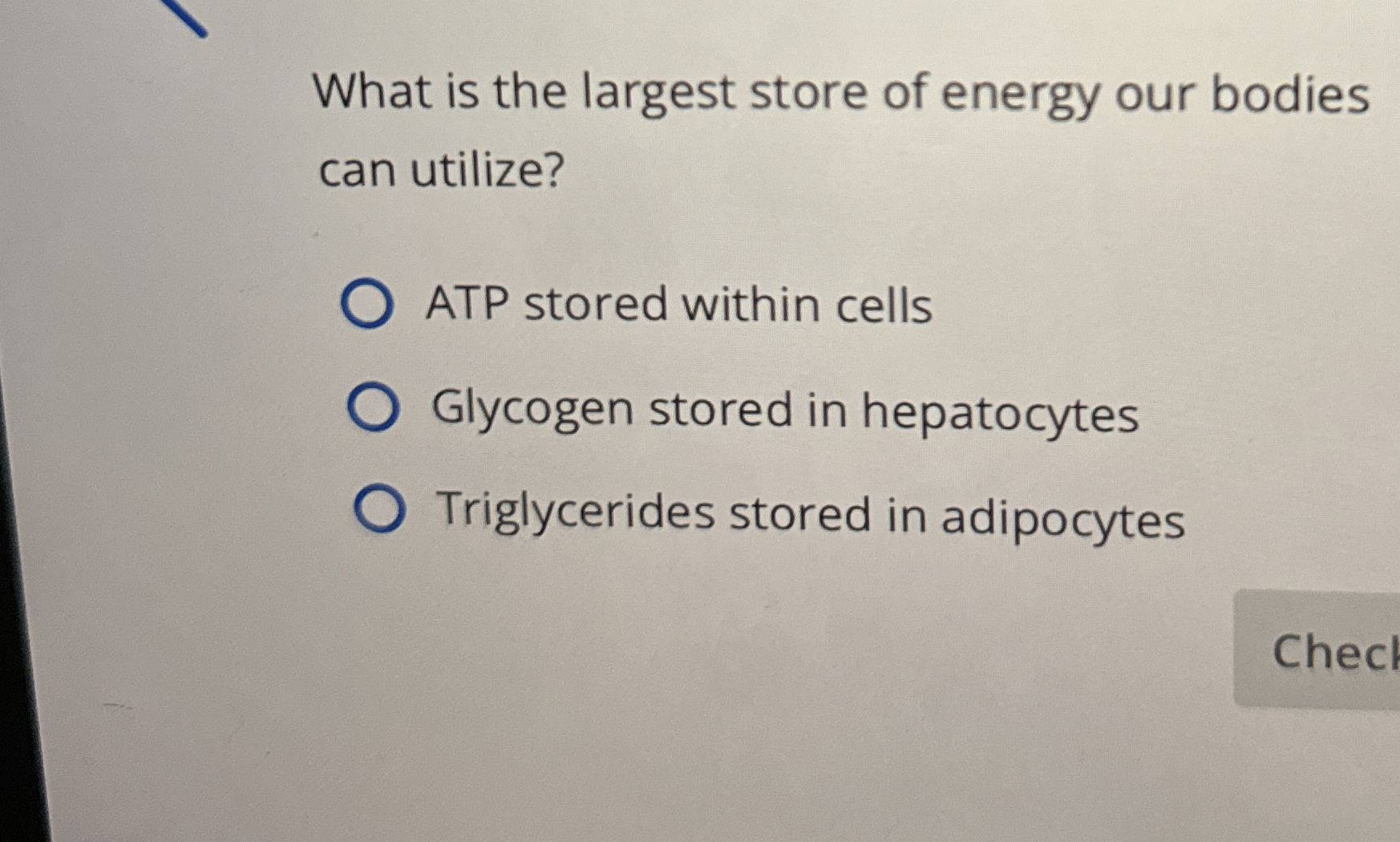 Solved What is the largest store of energy our bodies can | Chegg.com