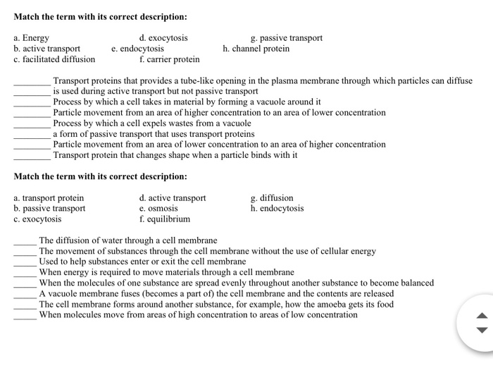 Solved 1. Starches and sugars belong to the class of