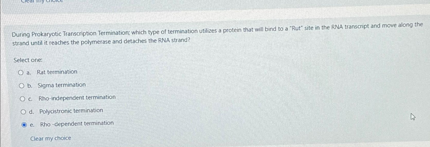 Solved During Prokaryotic Transcription Termination; Which | Chegg.com