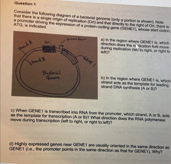 Solved I was not sure how ti explain it for Part D. Can I | Chegg.com