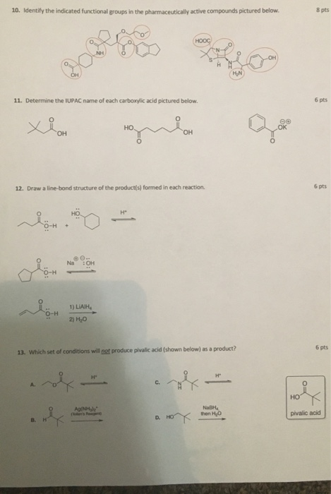 Solved 10 Identify The Indicated Functional Groups In The 3893