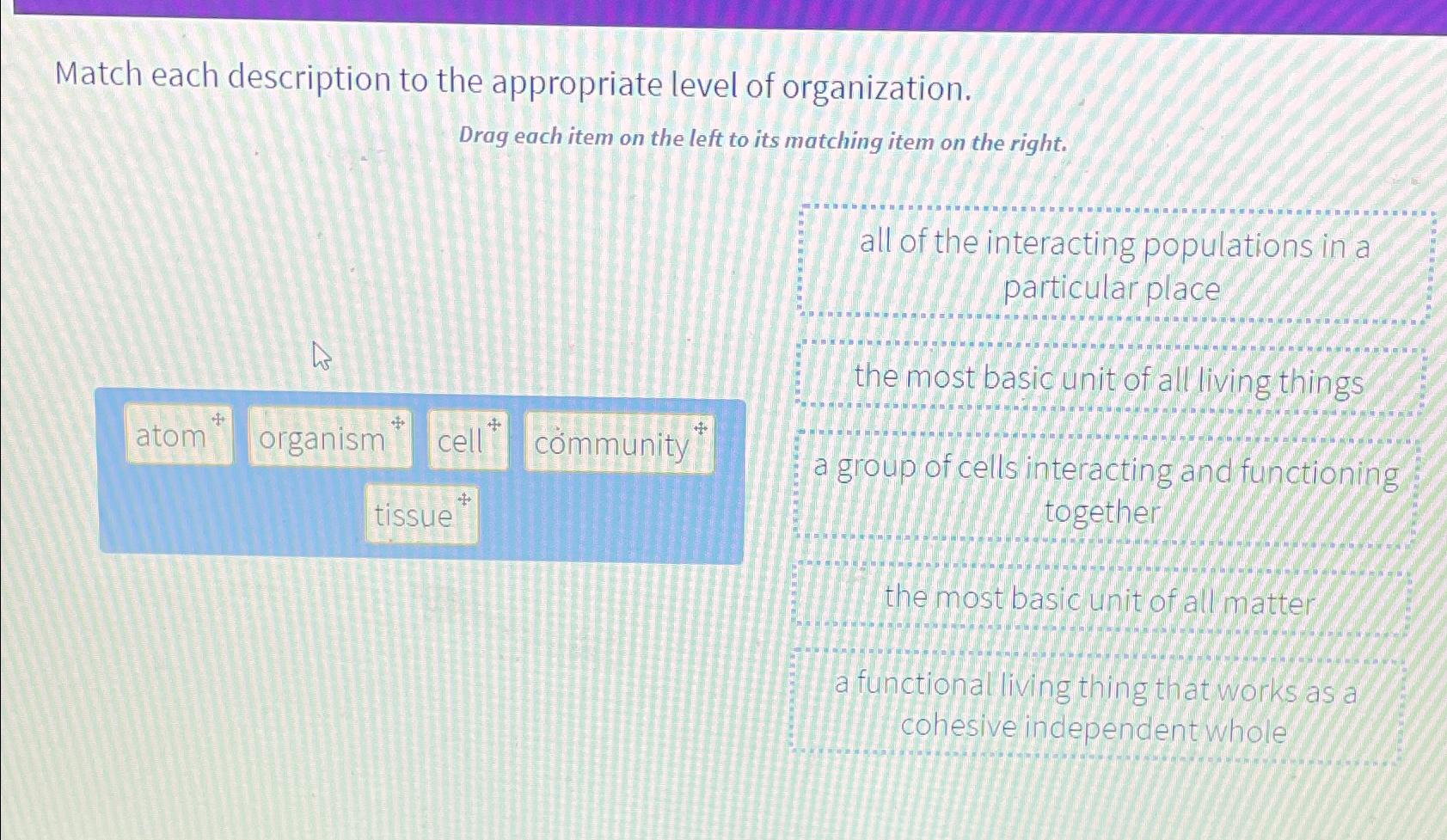 Solved Match each description to the appropriate level of | Chegg.com