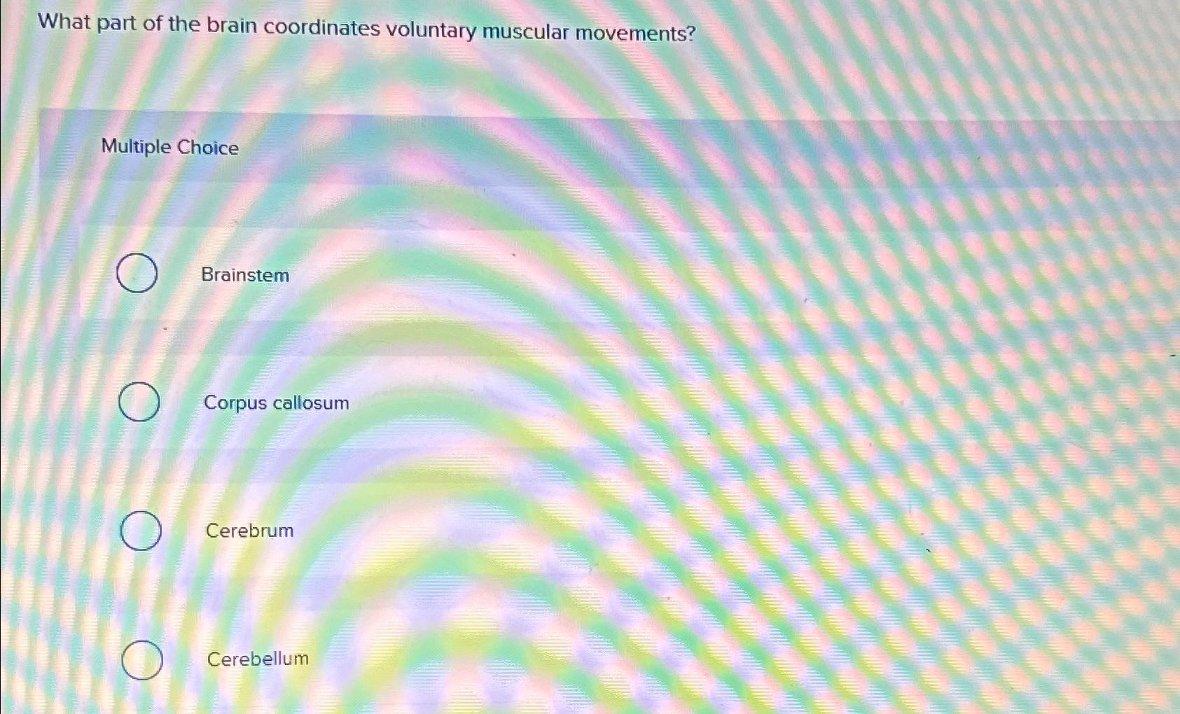 the largest part of the brain that controls voluntary movements is called