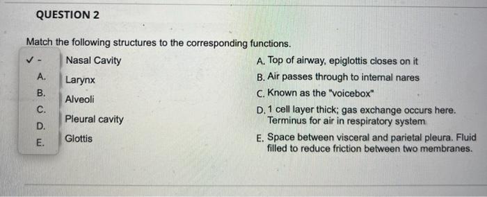 Solved Match The Following Structures To The Corresponding | Chegg.com