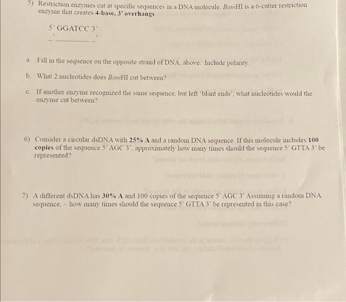 Solved 5) Restriction enzymes cut at specific sequences in a | Chegg.com