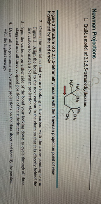 Solved Newman Projections 1 Build A Model Of Chegg Com