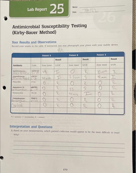 Solved Antimicrobial Susceptibility Testing (Kirby-Bauer | Chegg.com