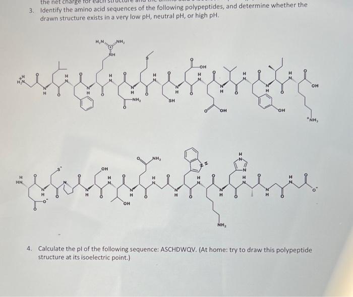 Solved 3. Identify the amino acid sequences of the following | Chegg.com
