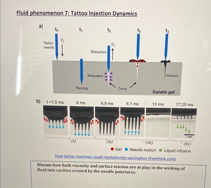 Solved Fluid phenomenon 7: Tattoo Injection Dynamics m.n mme | Chegg.com