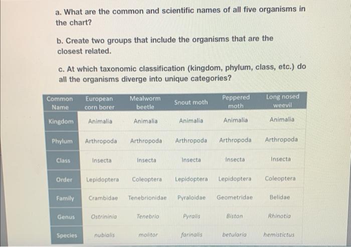 Solved a. What are the common and scientific names of all | Chegg.com