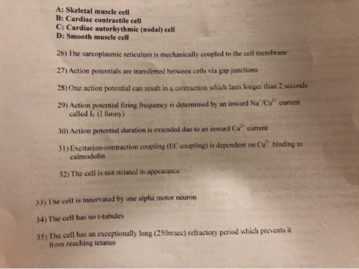 Solved A: Skeletal Muscle Cell B: Cardiac Contractile Cell | Chegg.com