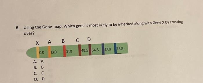 Solved 6. Using the Gene-map. Which gene is most likely to | Chegg.com