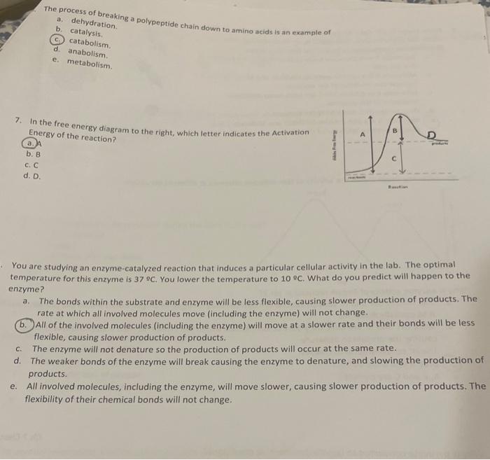 Solved 3. In the reaction A−+B→A+B− a. molecules A and B are | Chegg.com