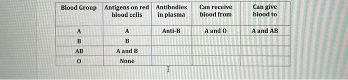 Solved Blood Group Antigens on red Antibodies blood cells in | Chegg.com
