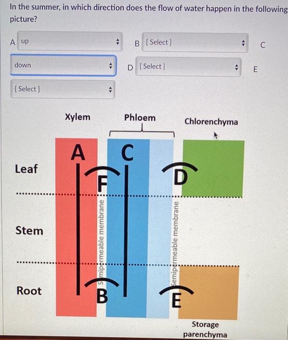 Solved In the summer, in which direction does the flow of | Chegg.com