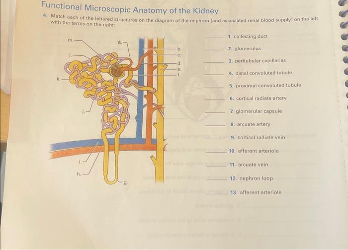 student submitted image, transcription available below