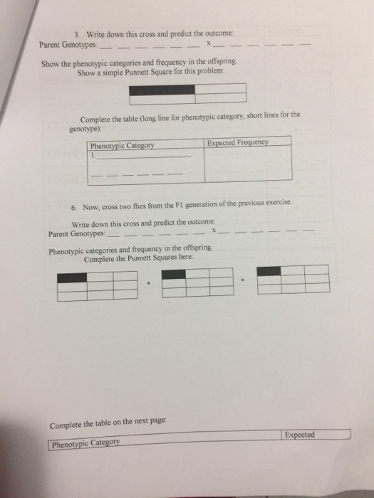 Solved Show a simple Punnett Square for each gene in this | Chegg.com