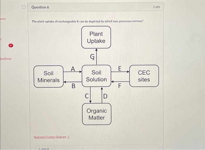Solved The olant untake of exchanzeable K can be depicted by | Chegg.com