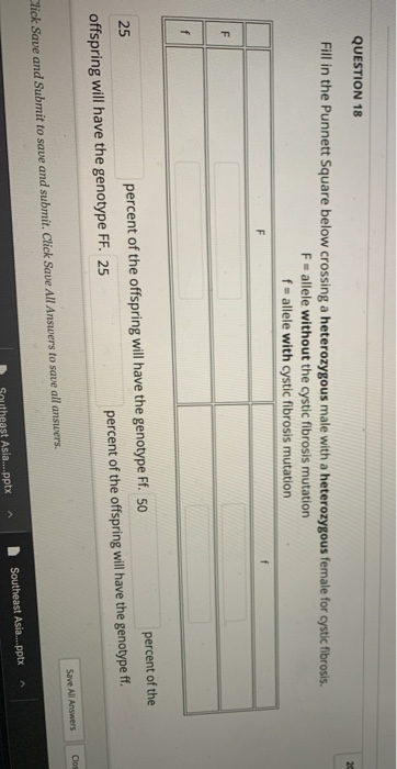 Solved QUESTION 18 20 Fill in the Punnett Square below | Chegg.com