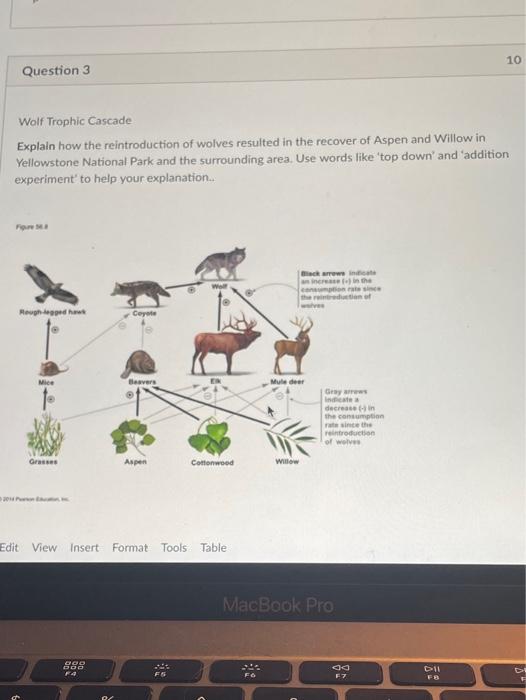 Solved 10 Question 3 Wolf Trophic Cascade Explain how the | Chegg.com