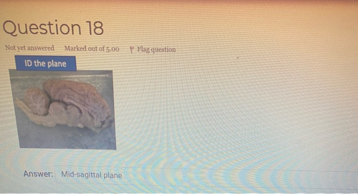 Solved Question 12 Not yet answered Marked out of 5.00 P | Chegg.com