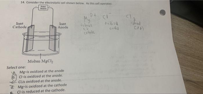 Solved 14. Consider The Electrolytic Cell Shown Below. As | Chegg.com