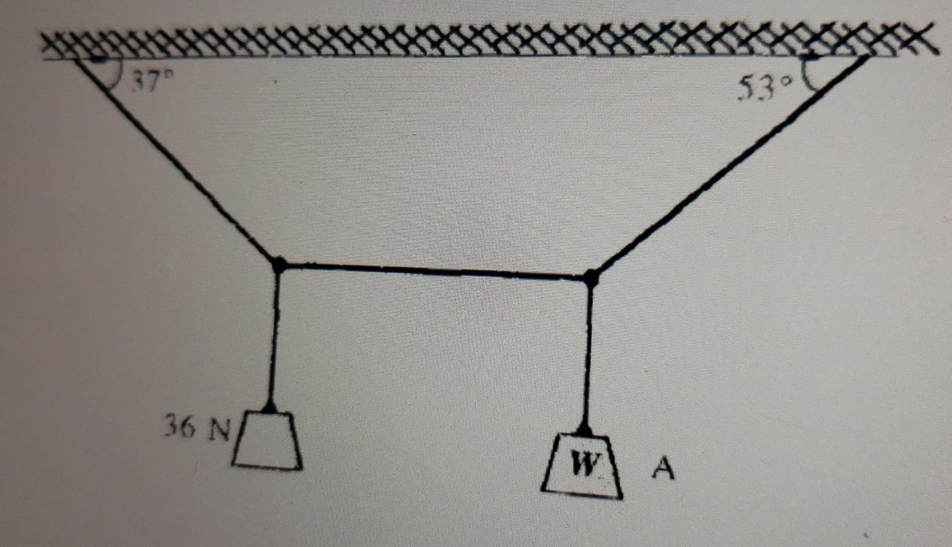 Solved X 37 530 36 N W A | Chegg.com