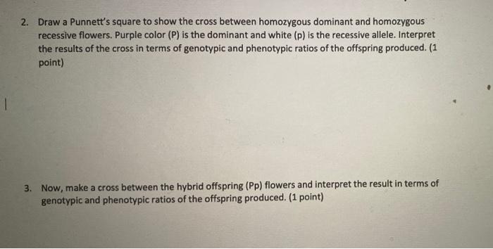 Solved 2. Draw a Punnett's square to show the cross between | Chegg.com
