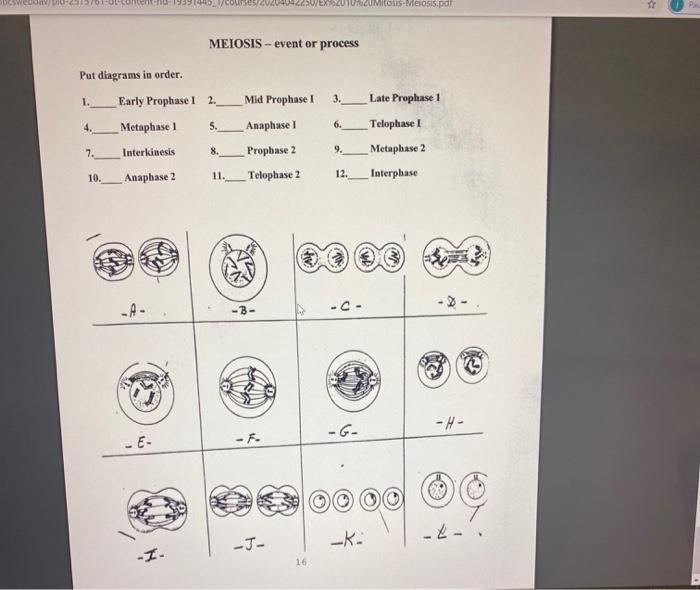 Solved MITOSIS - Event or Process Put the diagrams in order. | Chegg.com