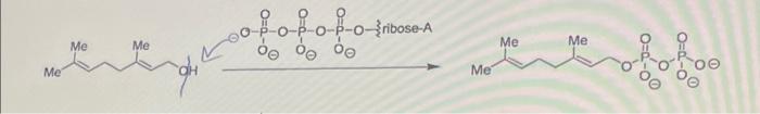 Solved can you explain each steps in detail | Chegg.com