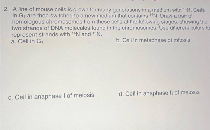 Solved 2. A line of mouse cells is grown for many | Chegg.com