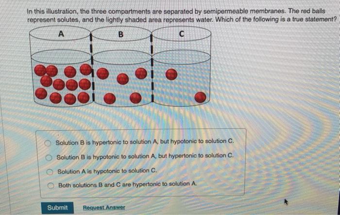 Solved In This Illustration, The Three Compartments Are | Chegg.com