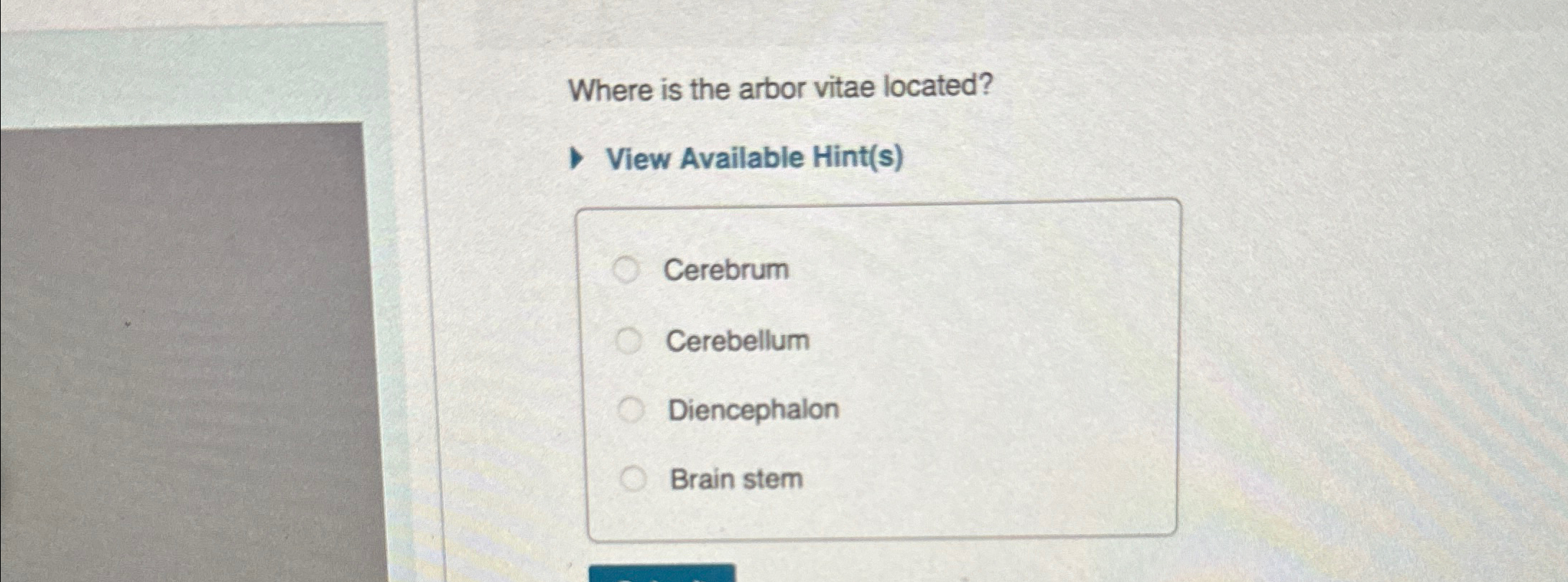 Solved Where is the arbor vitae located?View Available