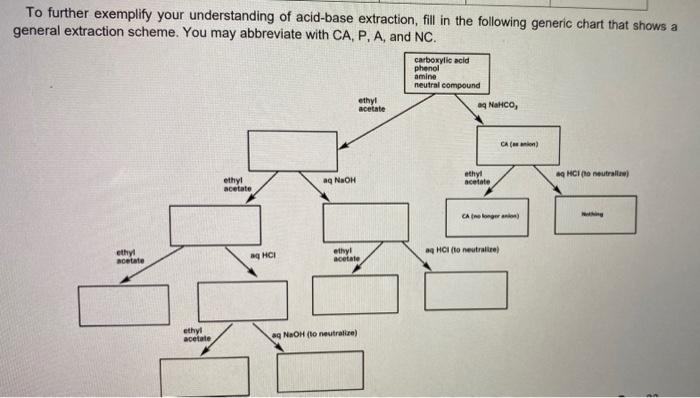 Solved To further exemplify your understanding of acid-base | Chegg.com