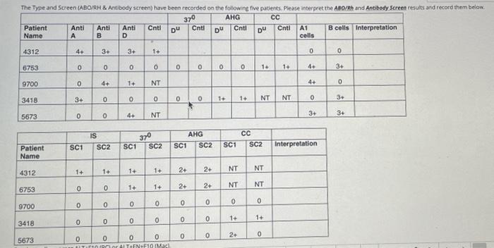 Solved The Type and Screen (ABO/RH & Antibody screen) have | Chegg.com