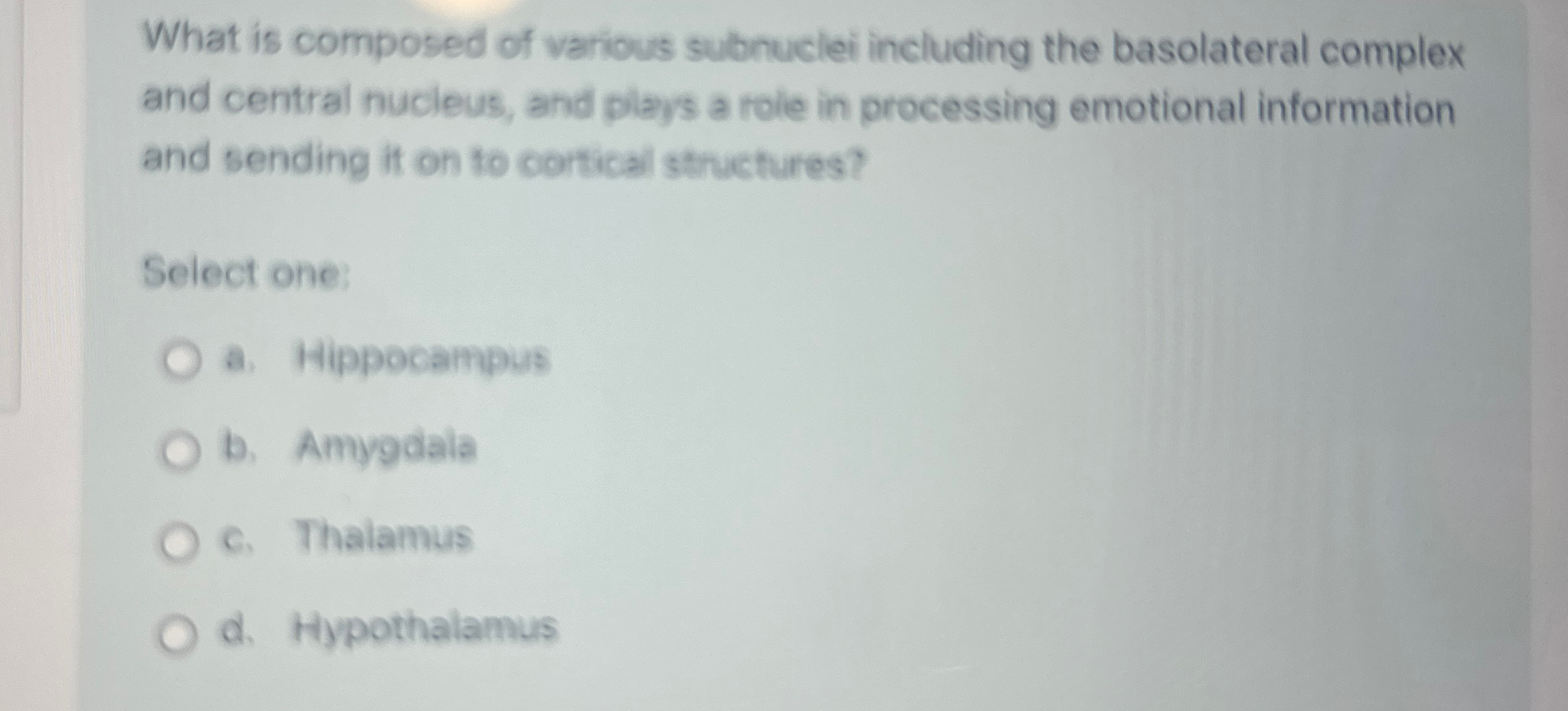 Solved What is composed of various subnuclei including the | Chegg.com