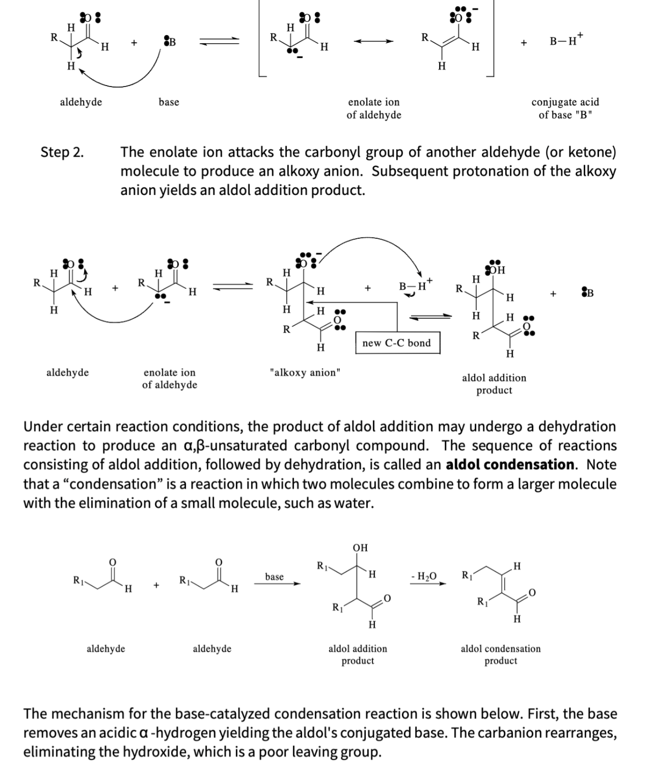 Solved What is the addition product and condensation product | Chegg.com