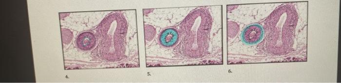 Solved 6. 5. | Chegg.com
