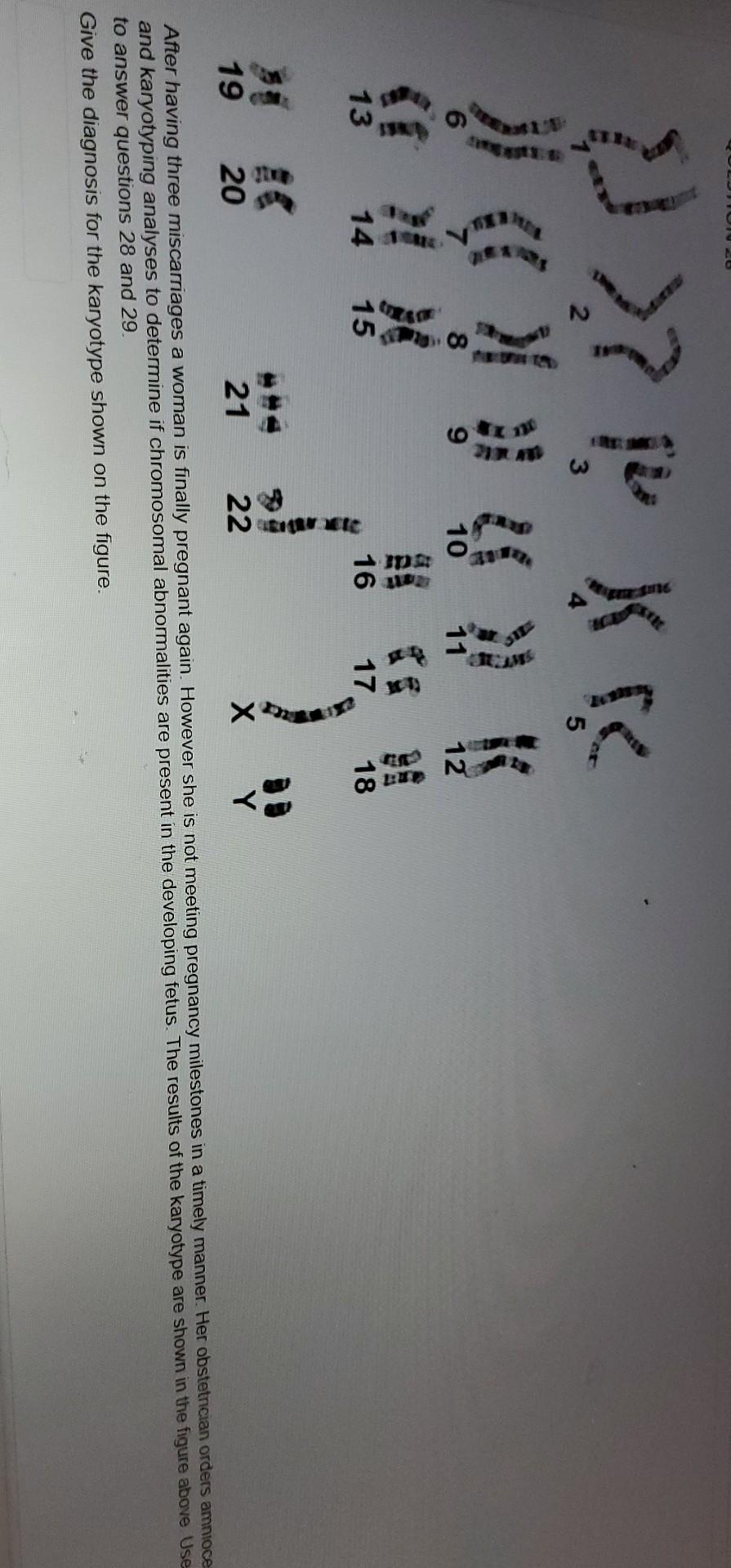 Solved e ? t ķK > 2 3 5 8 FO 9 10 11 as 12 27 13 14 15 16 17 | Chegg.com