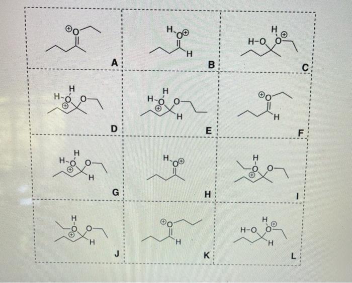 Solved Consider the following reaction. From the given | Chegg.com