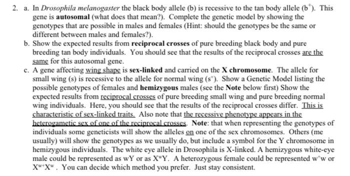 2. a. In Drosophila melanogaster the black body allele (b) is recessive to the tan body allele (b). This gene is autosomal (w