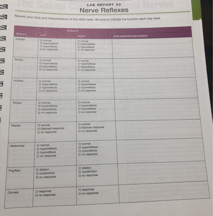 Solved LAB REPORT 22 Nerve Reflexes data and interpretations