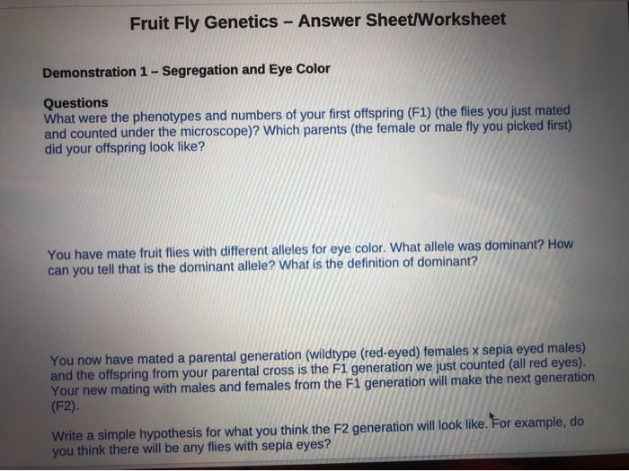 Solved Fruit Fly Genetics Answer Sheet Worksheet