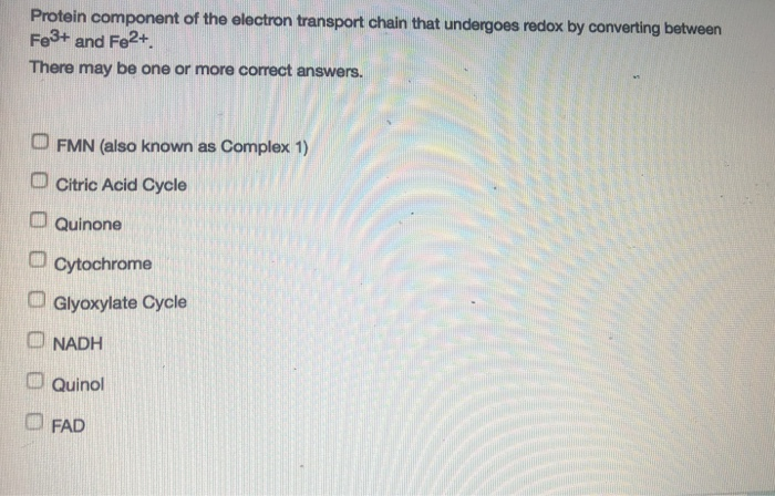 Solved Protein component of the electron transport chain | Chegg.com