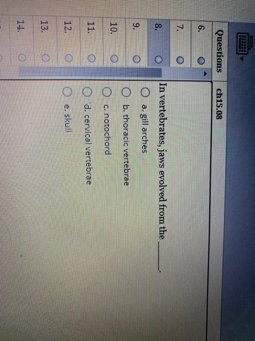 Solved A typical sponge O a. has an endoskeleton O b. uses a