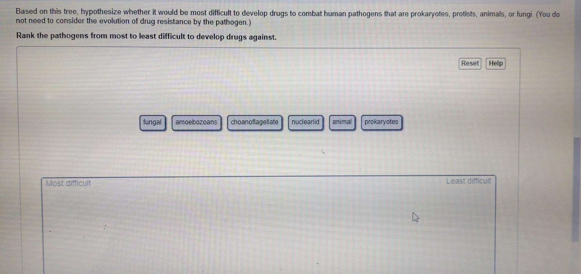 Solved Based On This Tree Hypothesize Whether It Would Be Chegg Com