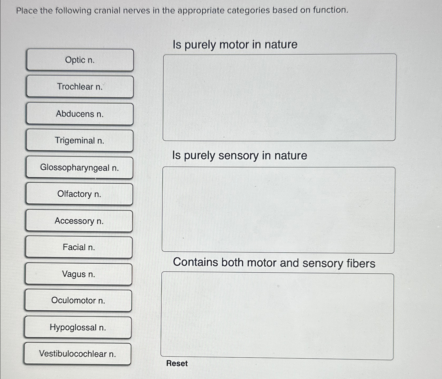 Solved Place the following cranial nerves in the appropriate | Chegg.com