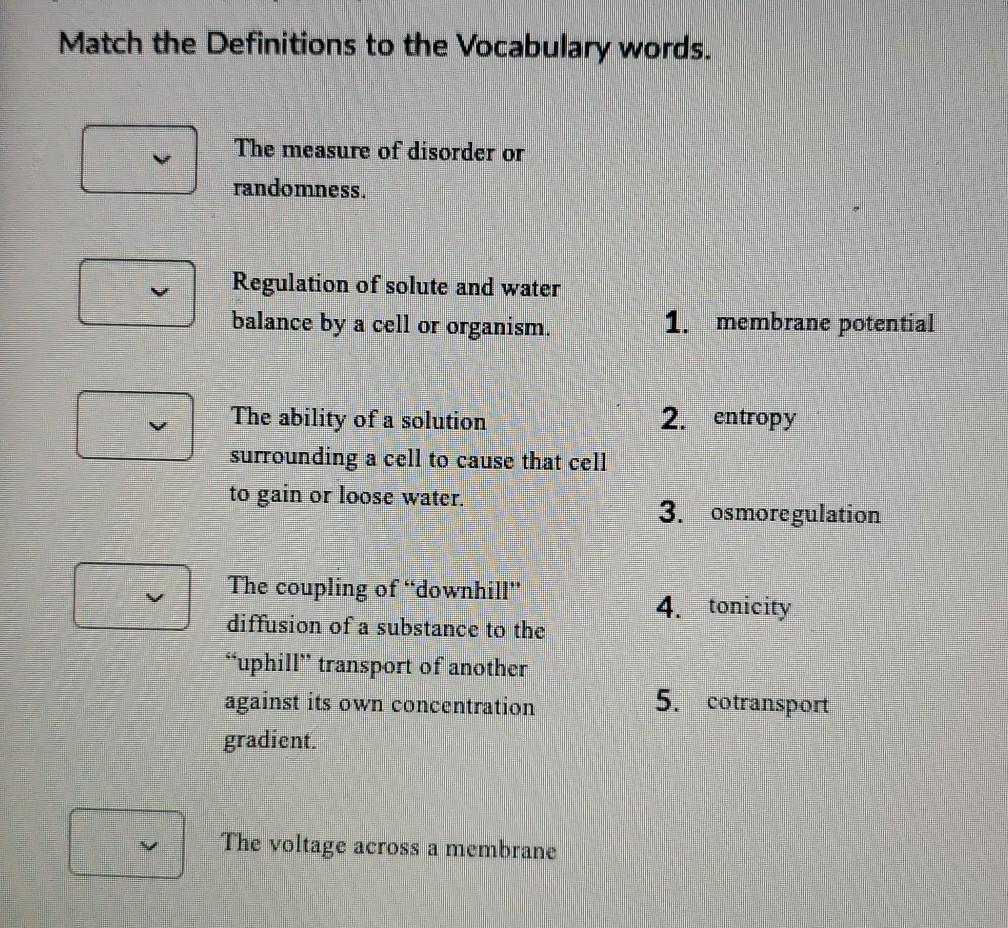 Solved Match the Definitions to the Vocabulary words. n The | Chegg.com