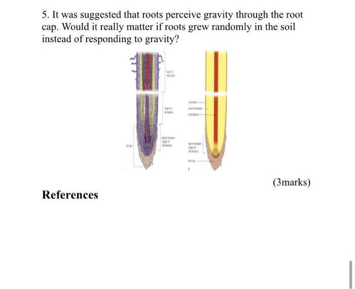 Solved 5. It was suggested that roots perceive gravity | Chegg.com
